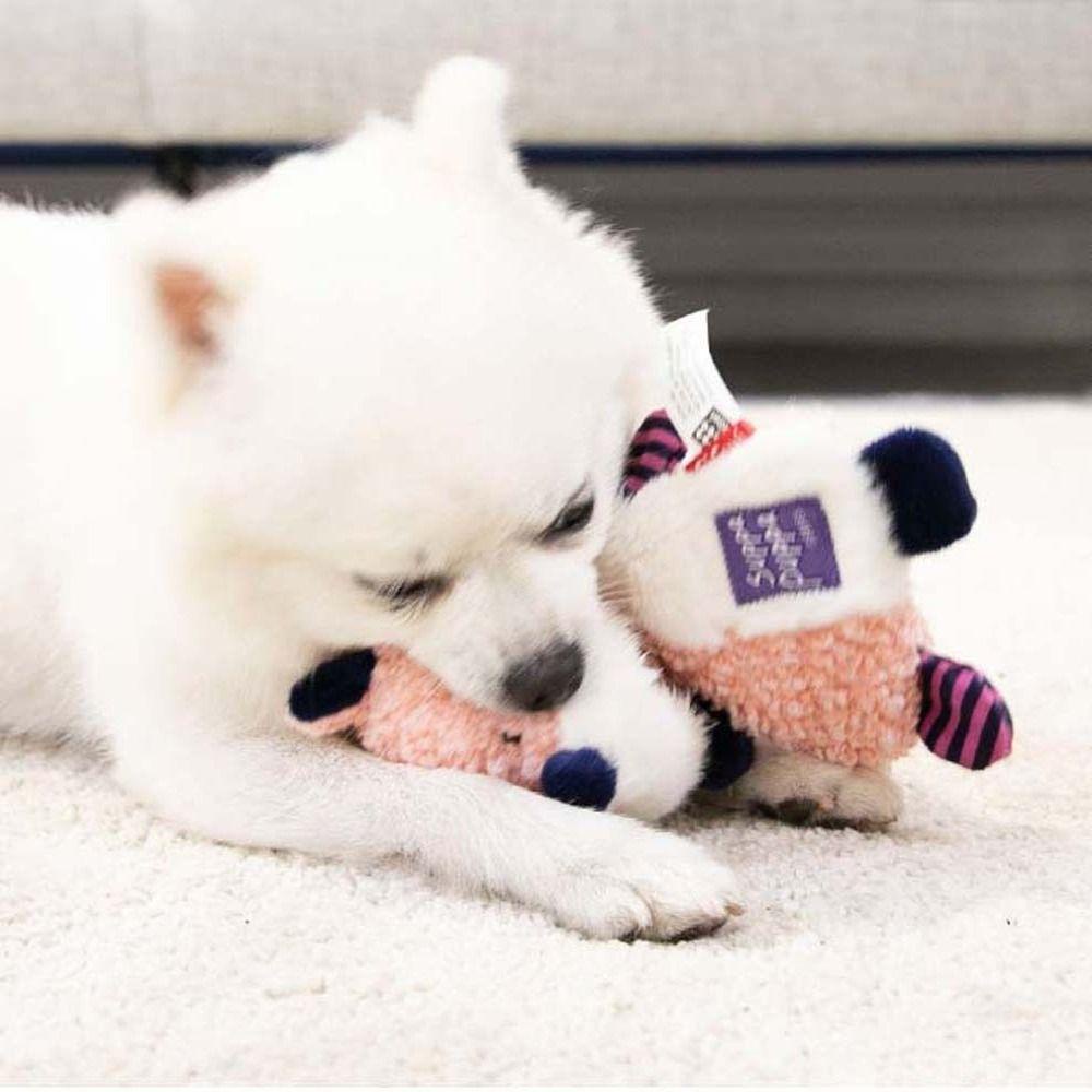 Norman Đồ Chơi Ném Răng Sạch Sẽ Hình Sư Tử Teddy Cỡ Nhỏ Tương Tác Huấn Luyện Cún Cưng