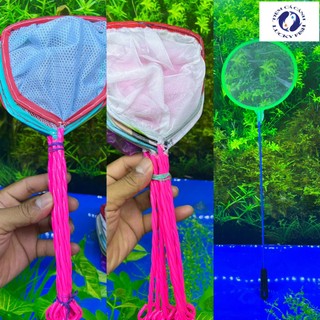 Vợt bắt cá - vợt trùng chỉ - bobo - cá con lưỡi nhỏ và nhuyễn nhiều màu sắc