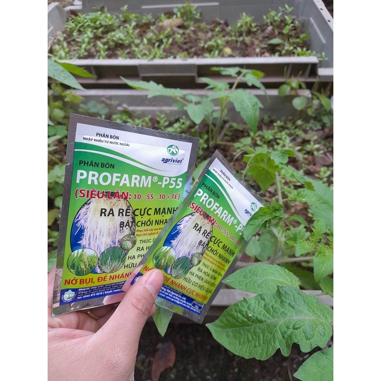 PHÂN BÓN SIÊU LÂN PROFARM-P55 10-55-10 GÓI 15G - GIÚP HẠ PHÈN, GIẢ ĐỘC HỮU CƠ HIỆU QUẢ