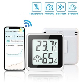 Nhiệt Kế Điện Tử Mini Có Màn Hình LCD