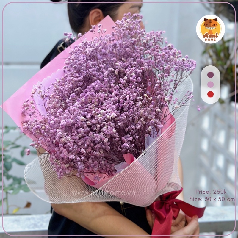 Bó hoa khô baby size to