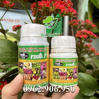 Phân bón lá cao cấp kích ra rễ roots 2 hoa kỳ
