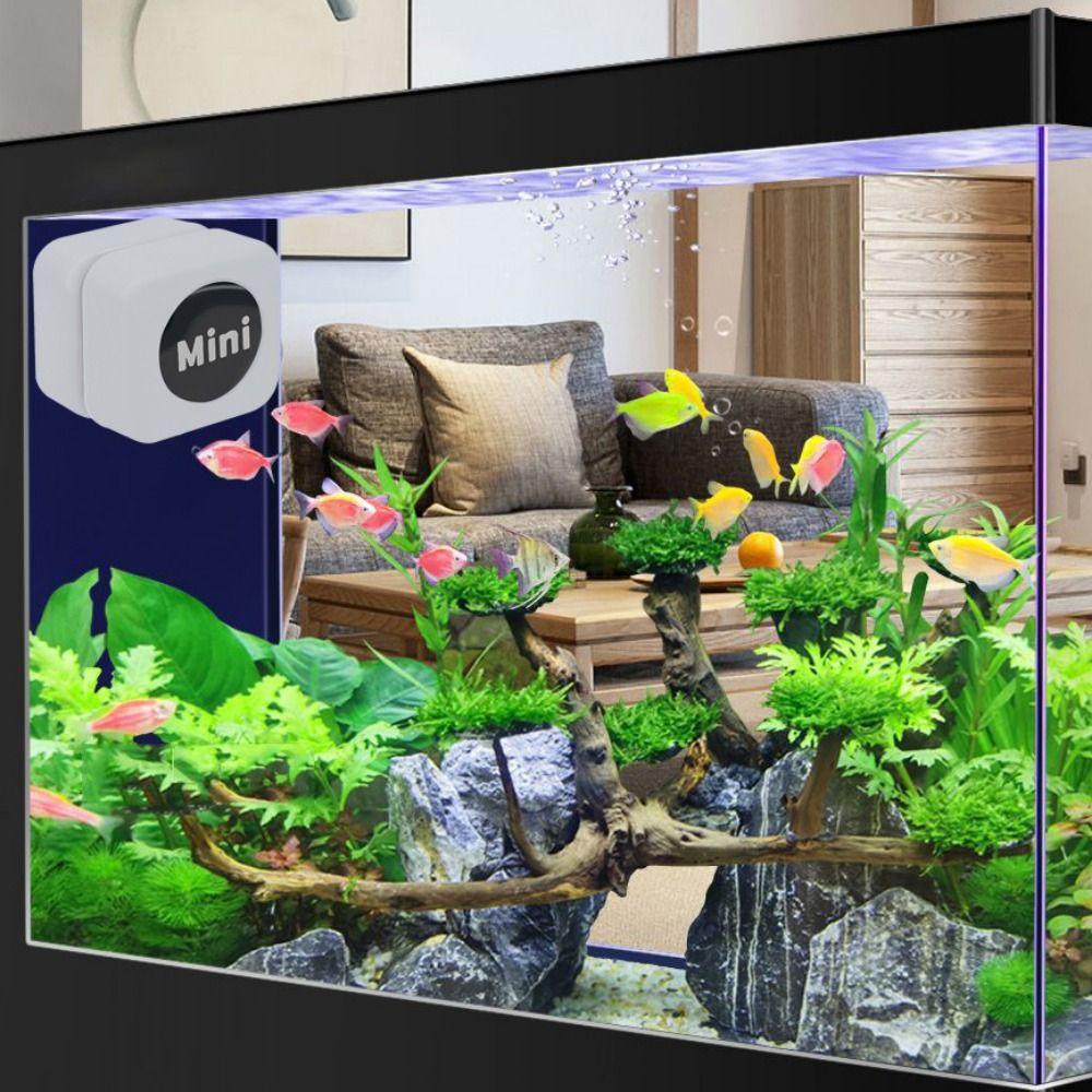 Danilo Cọ Vệ Sinh Bể Cá Bằng Nhựa Không Trầy Xước