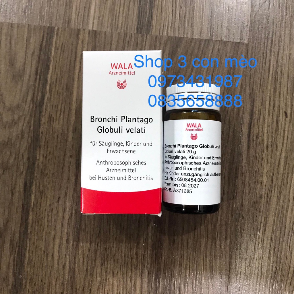 Wala bronchi viên ngậm
