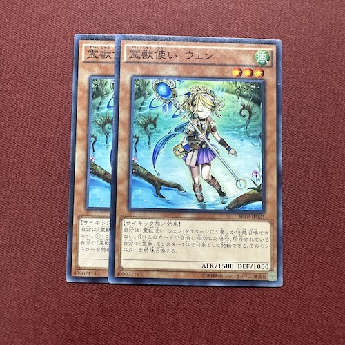 Ritual Beast Tamer Wen