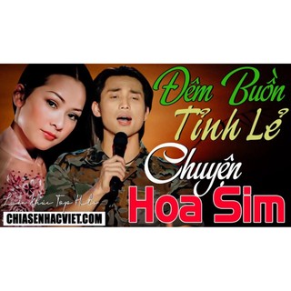 Đĩa cd 110.liên khúc đêm buồn tỉnh lẻ- căn nhà màu tím asia