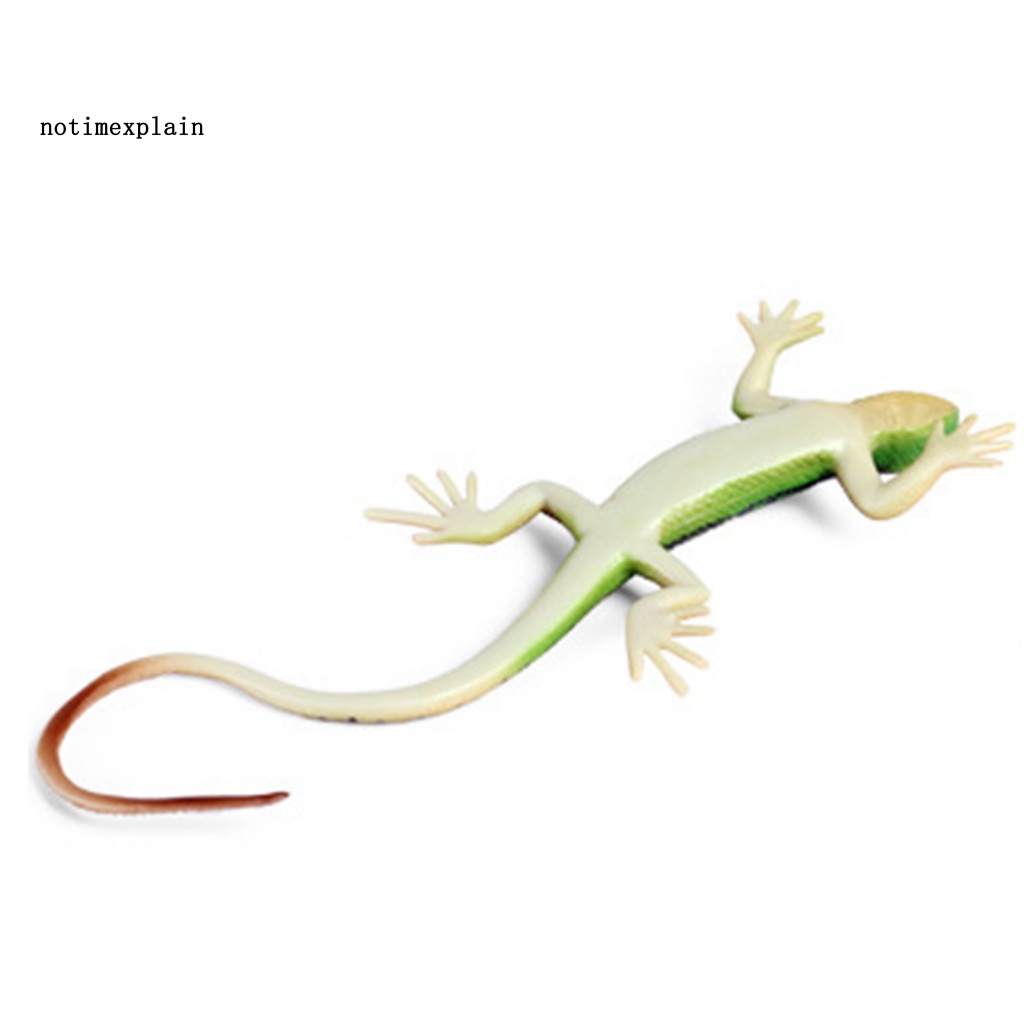 Thằn Lằn Giả Nhiều Màu Trang Trí Nhà Cửa