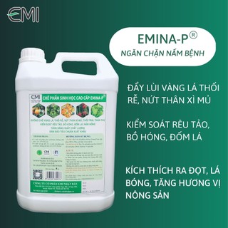 Chế phẩm sinh học EMINA-P dành cho cây ăn quả can 5 lít