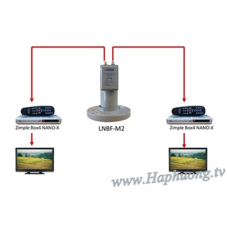 LNB C Band Infosat M2