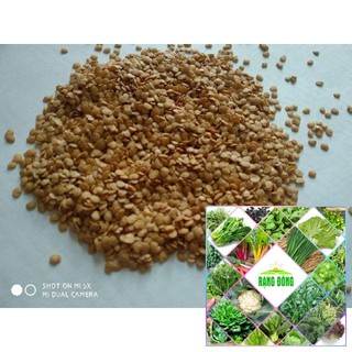50 Hạt giống cà tím dài