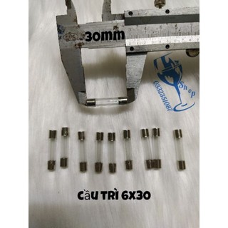 Combo 20 chiếc cầu chì thủy tinh 6x30