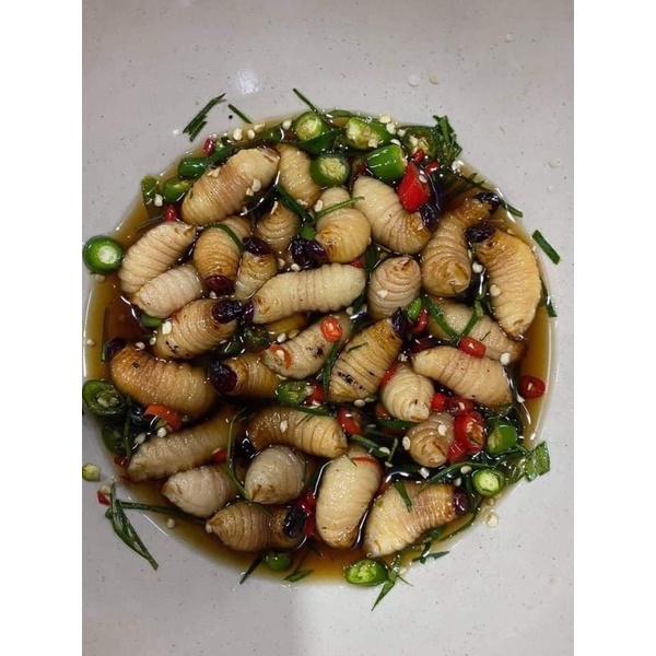 Combo 70k/10 Đuông Dừa - Cọ Dừa Miền Tây 🌴