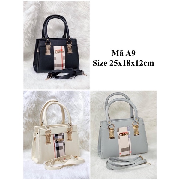 Túi công sở A9
