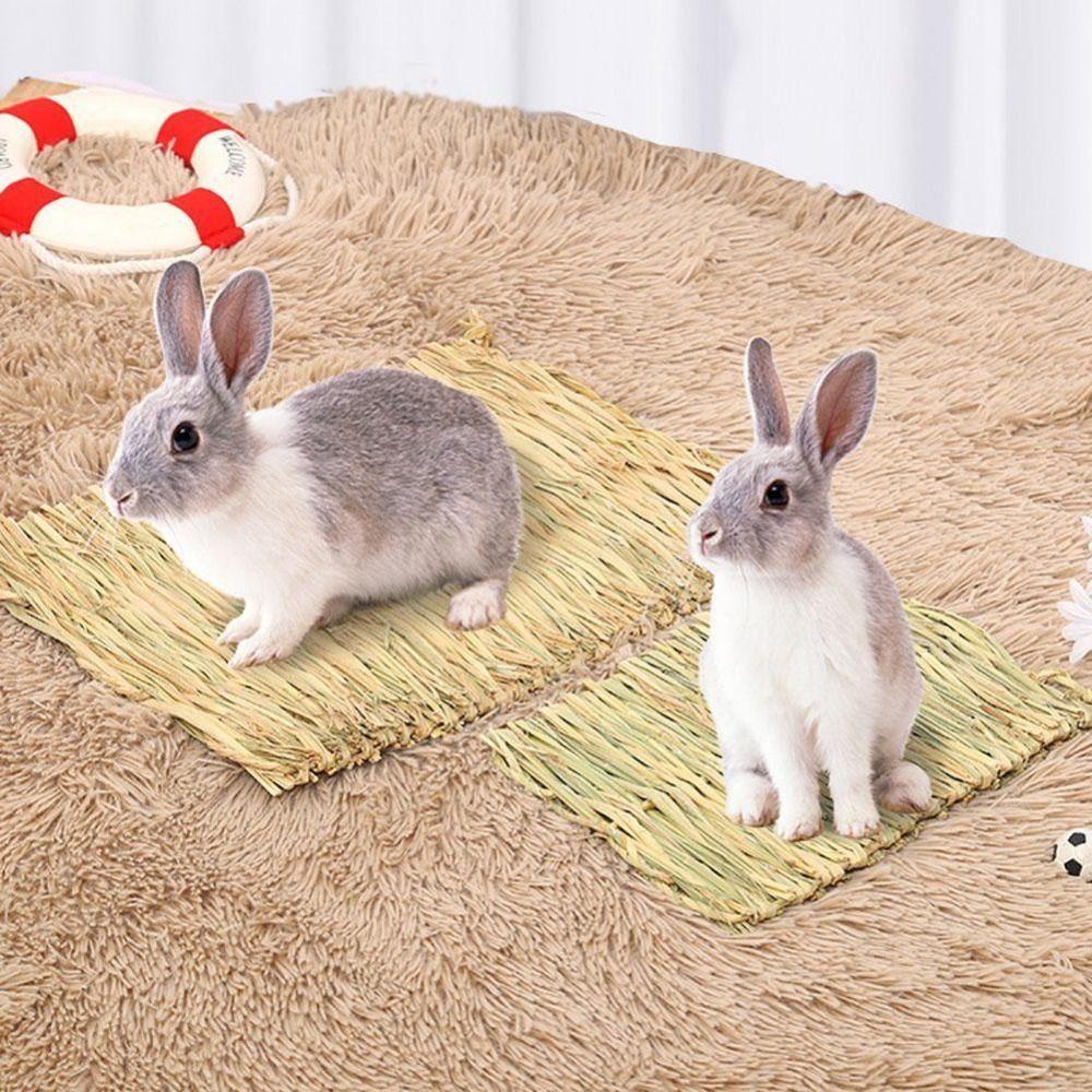 Đệm Ngủ Bằng Rơm Trọng Lượng Nhẹ Cho Hamster / Thỏ / Thú Cưng Nhỏ 2023