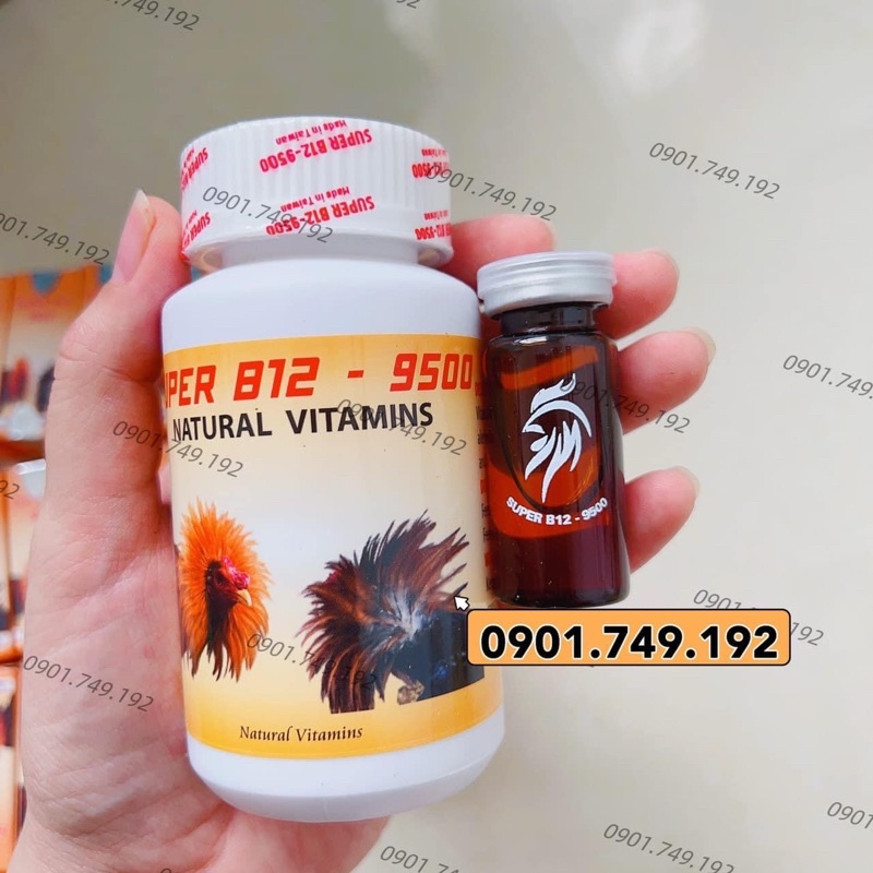 B12.9500 Gom bo tuần cuối hủ zin 100 viên tặng chai chích 5cc