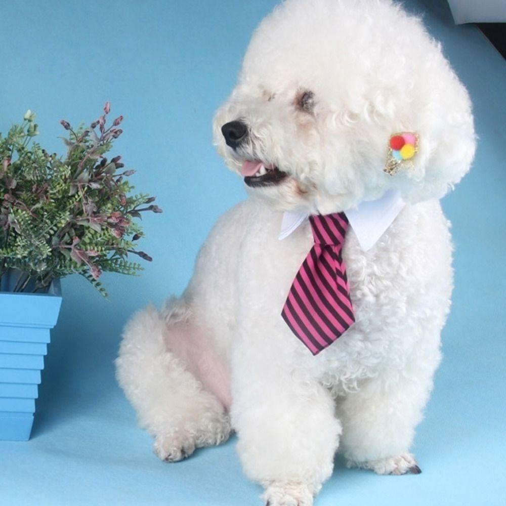 Vòng Cổ Thắt Nơ Có Thể Điều Chỉnh Kích Thước Dành Cho Thú Cưng