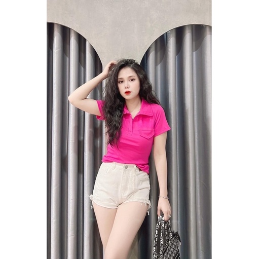 Áo thun borip cổ trụ