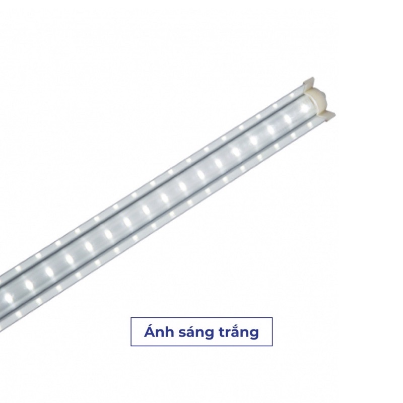 Đèn LED ChuyênDụng Trồng Rau, Nuôi Cấy Mô Chính Hãng Rạng Đông Model: D NCM02L 60 10 W