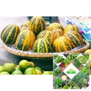 Gói 20 hạt giống dưa bở