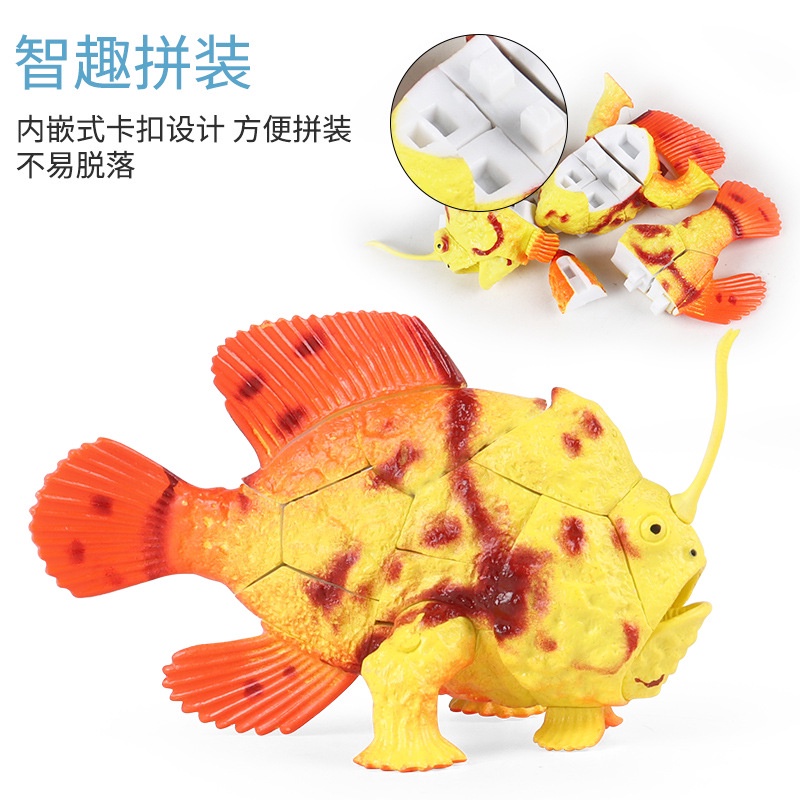 Đồ trang trí Cá Mập / Cá Voi / Cá Hề 4D Sống Động