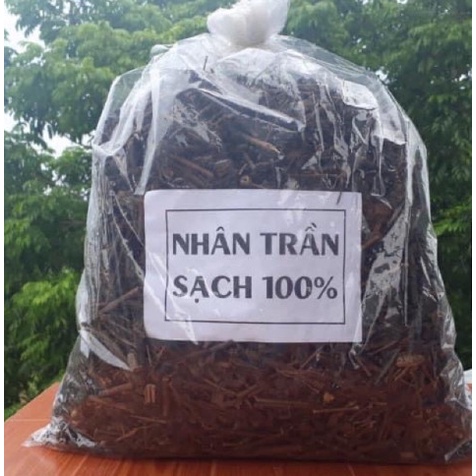 1kg Cây nhân trần khô, thơm ngon, sạch sẽ