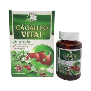 Giải độc gan Cà gai leo Vital bổ gan