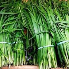 100 Hạt giống rau hẹ ta