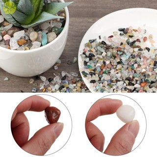 Chip Sỏi Trang Trí Bể Cá Bonsai