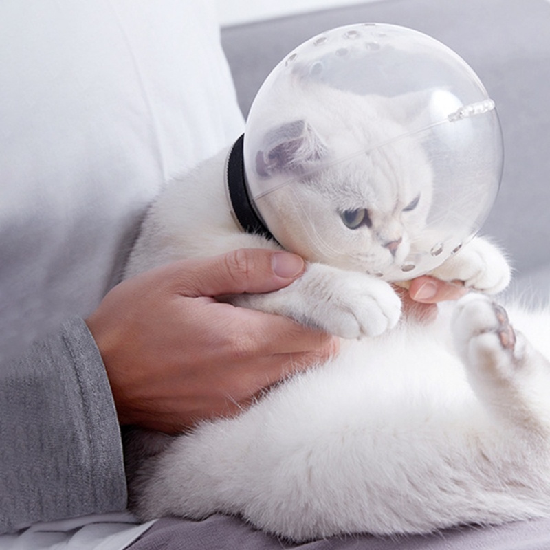 Aoto Tấm Chắn Bảo Vệ Mặt Chống Cắn Trọng Lượng Nhẹ Dành Cho Mèo