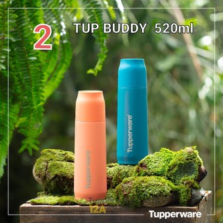 Bình giữ nhiệt Tupperware Tupp Buddy 520ml - Tặng kèm túi