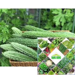 Gói 10 hạt giống mướp đắng nhật bản HAT F1