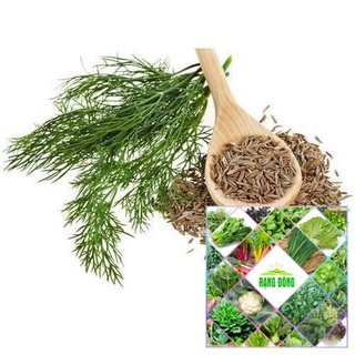5 GR - HẠT GIỐNG RAU THÌ LÀ THE GARDEN