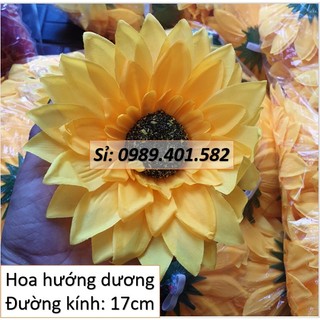 Sỉ 1 đôi hoa múa sân trường, hoa hướng dương