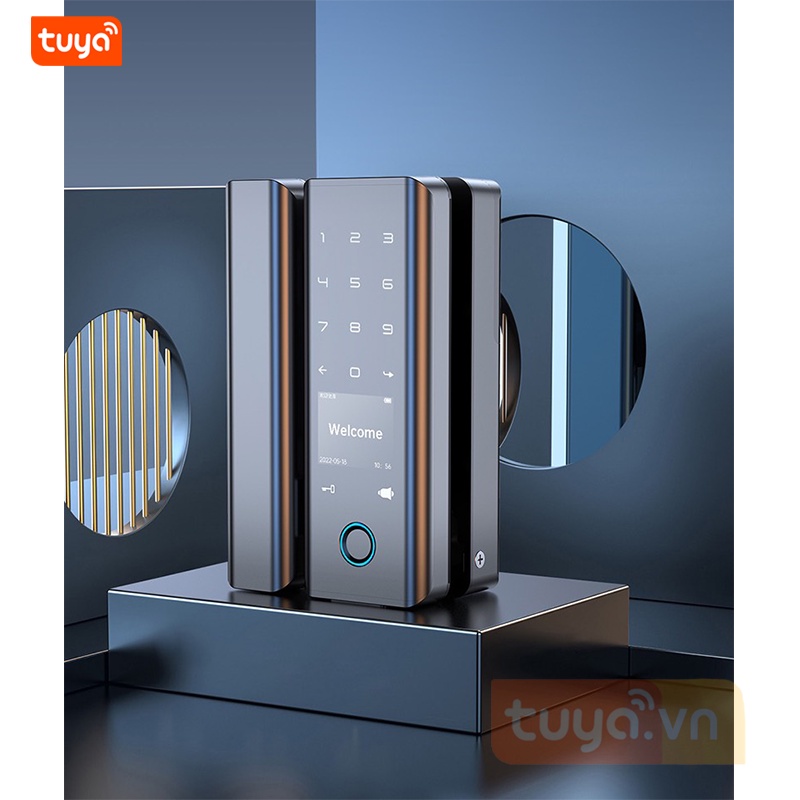 Khóa Cửa Kính Wifi Vân Tay Mã Số Thẻ Từ Điều Khiển Qua App Tuya SHP-DL8Bv2