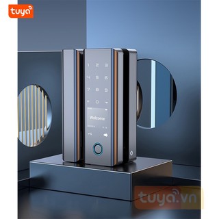 Khóa cửa kính wifi vân tay mã số thẻ từ điều khiển qua app tuya shp-dl8bv2