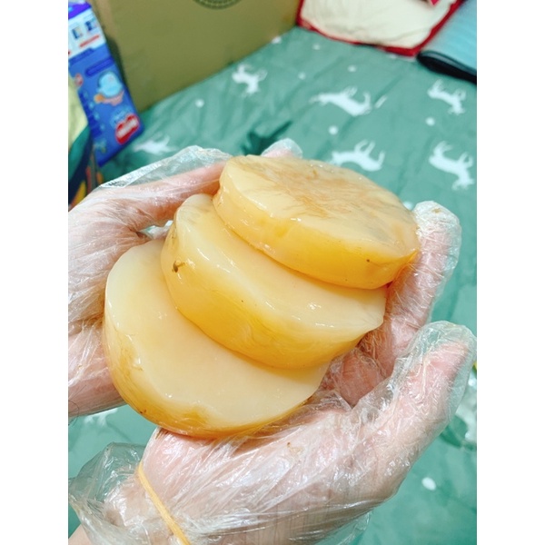 Scoby làm trà Kombucha