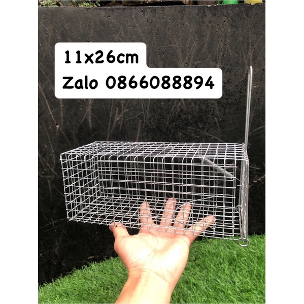 Lồng bẫy Chuột 🐭Sóc 11x26cm
