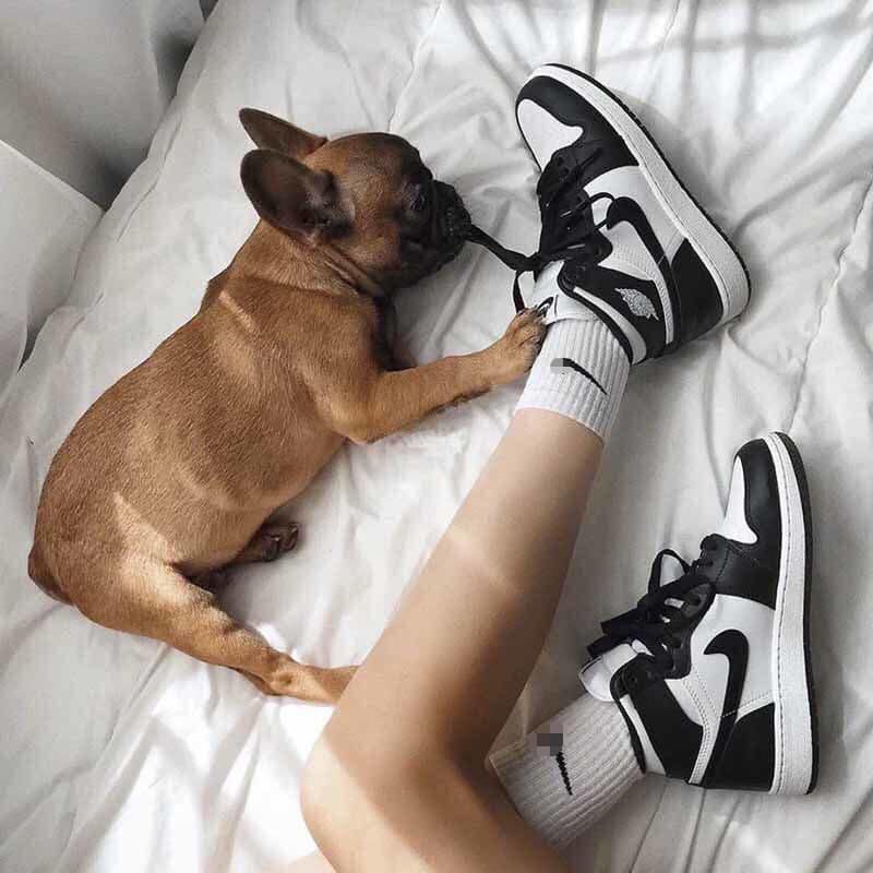Tất cao cổ 19cm kết hợp cùng giày thể thao sneaker đủ màu dệt kim