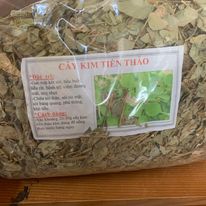 Kim tiền thảo , Kim tiền thảo khô , Sỏi thận , Lợi tiểu