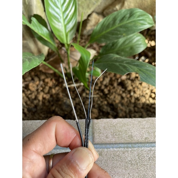 Dây cáp làm giàn leo 1kg = 70m cáp