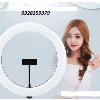 Bộ đèn livestream 33cm 1 kẹp điện thoại + chân 2m