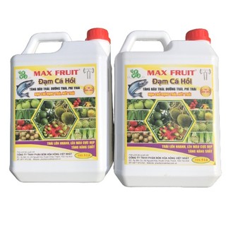Phân bón đạm cá hồi max fruit can 5 lít - chuyên dùng cho cây ăn quả giúp trái nặng cân, bóng trái, đẹp trái