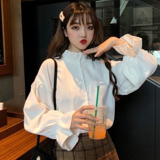 Áo ulzzang tay bèo / Áo tiểu thư tay loe