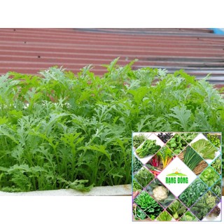 10GR - HẠT GIỐNG CẢI ĐUÔI PHỤNG THE GARDEN