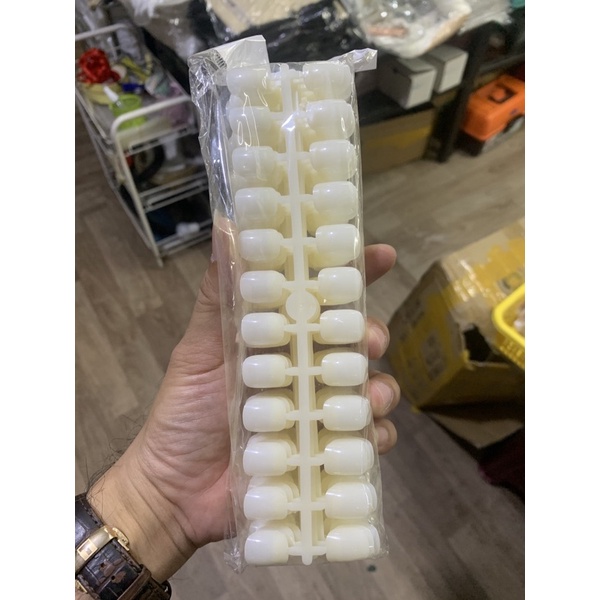 MÓNG VUÔNG TẬP VẼ NAIL 240 MÓNG