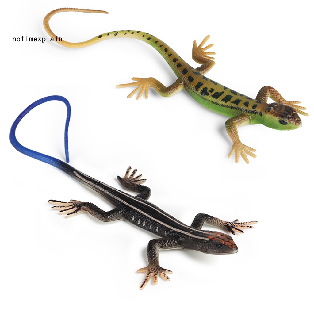 Thằn Lằn Giả Nhiều Màu Trang Trí Nhà Cửa