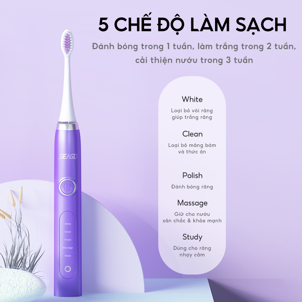 Bàn chải điện 5 chế độ | Thiết kế sang trọng Sonic Seago SG-986 - Bảo hành 12 tháng - Hàng chính hãng