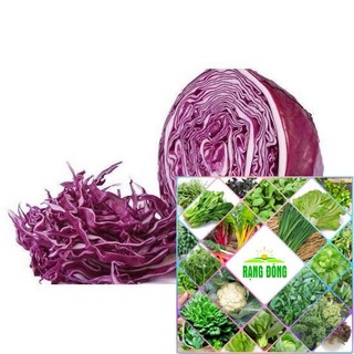Hạt giống bắp cải tím 50 hạt HAT F1