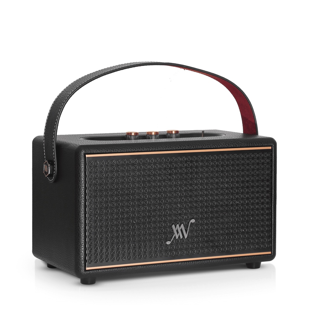 Loa Bluetooth Alpha Works AW Classic V60