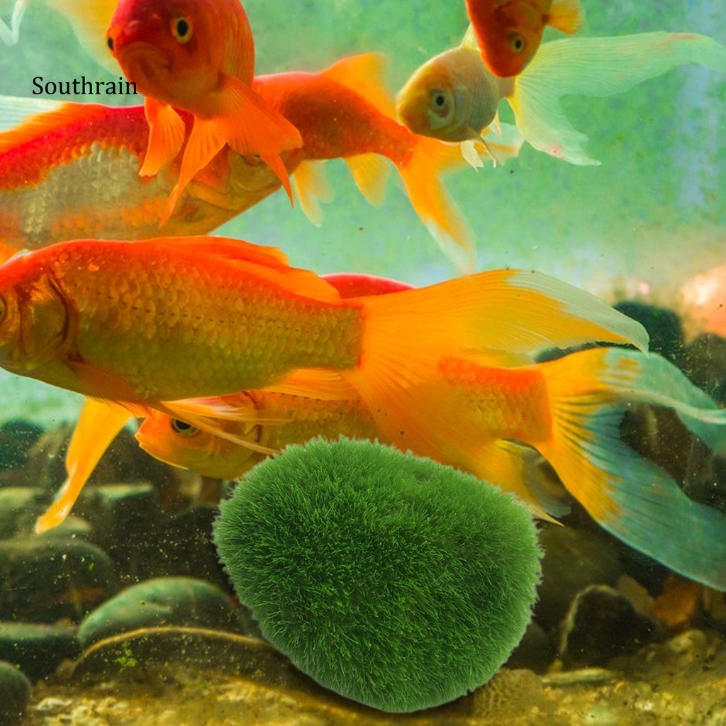 Đồ trang trí Hòn Non Bộ Trang Trí Bể Cá Bằng Nhựa Resin Màu Xanh Lá Cây An Toàn Không Ô Nhiễm Hình Dạng Đẹp Mắt